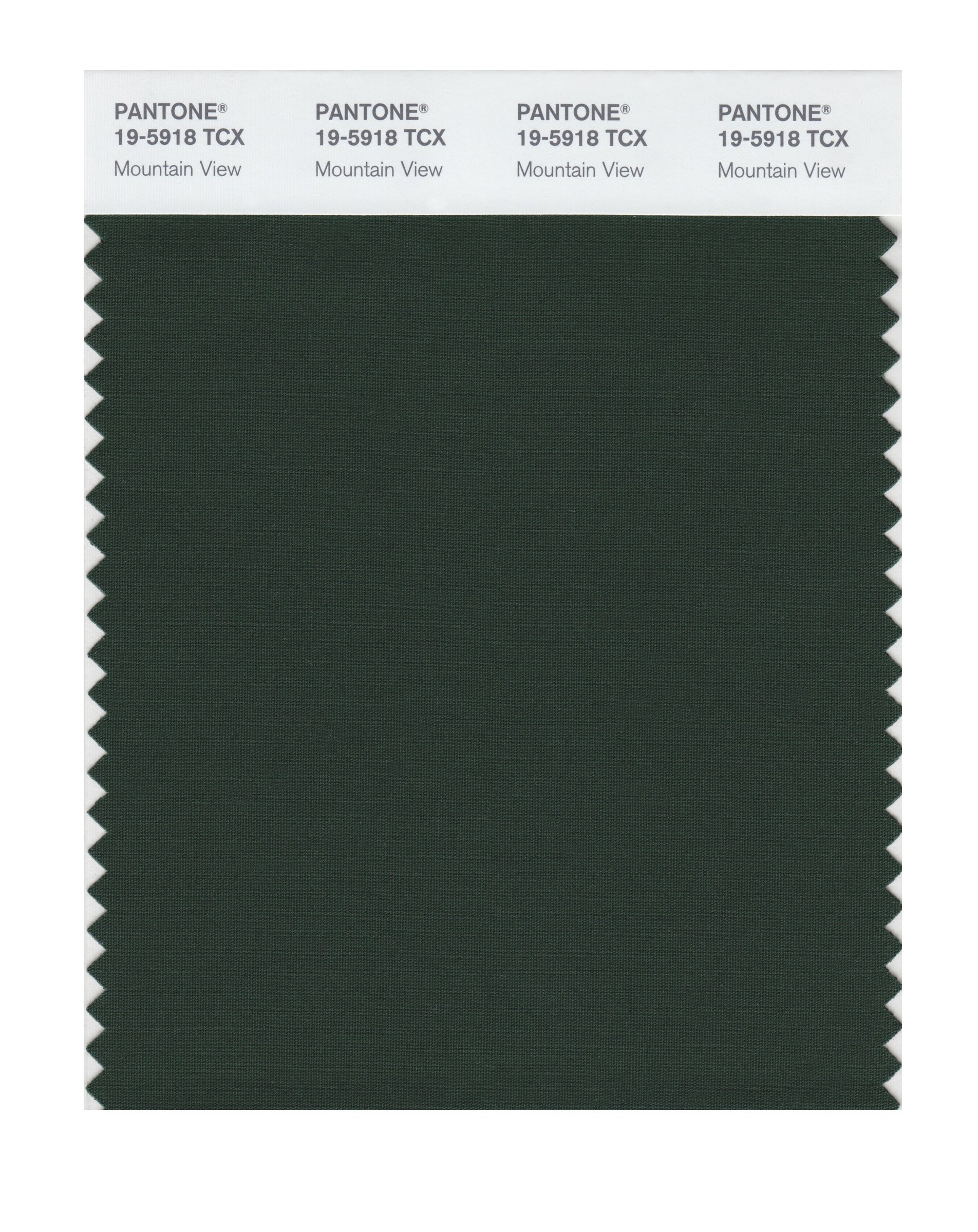 Pantone 19-5918 TCX Smart Color Swatch Card, Mountain View - House